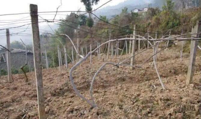 1720080895137449.jpg QQ截圖20240704155926.jpg