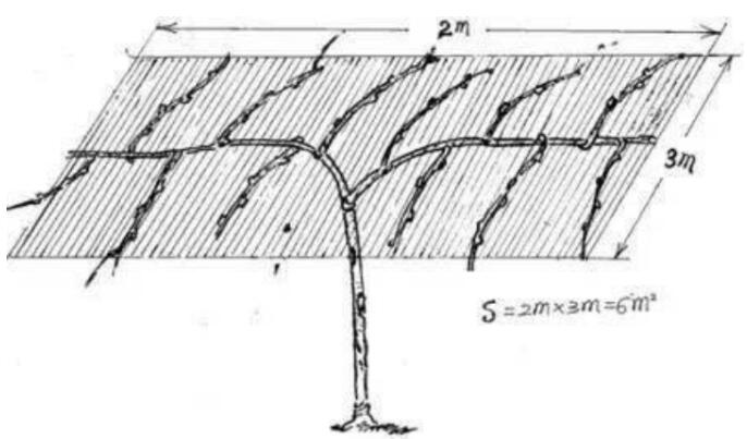 1720081005359691.jpg QQ截圖20240704160007.jpg