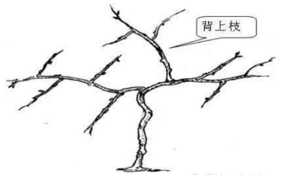 1720081067743485.jpg QQ截圖20240704160102.jpg