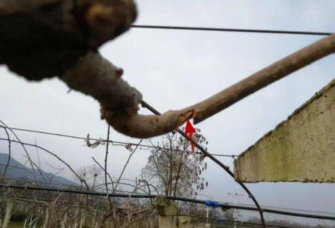 1720081241370000.jpg QQ截圖20240704160234.jpg