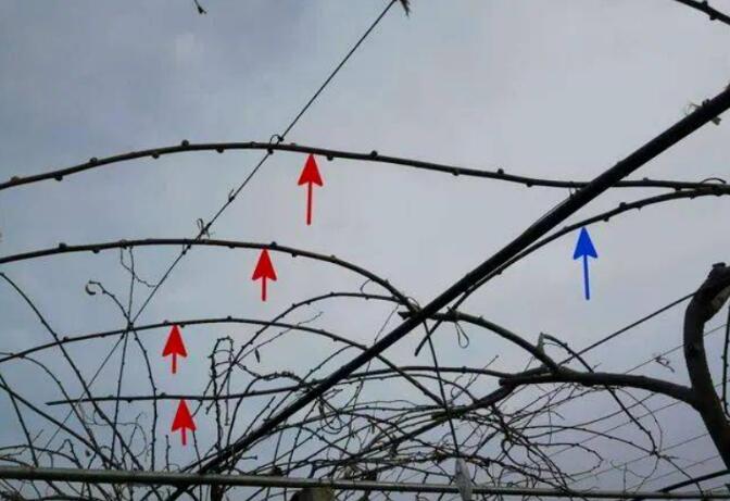 1720081378366201.jpg QQ截圖20240704160322.jpg